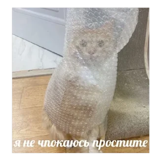 Стикер Шо там, Алиса? - 1