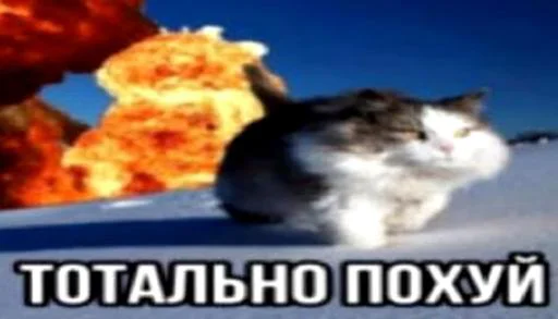 Мемы от @Mistish_i - 