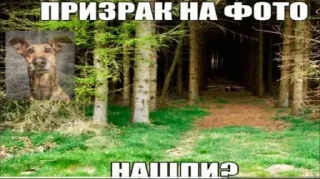 Sticker Мемы от @Mistish_i - 10