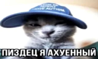 Sticker Мемы от @Mistish_i - 8