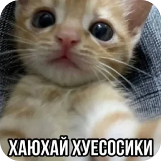 Стикер Больше стиков тут: @stikery4 - 9