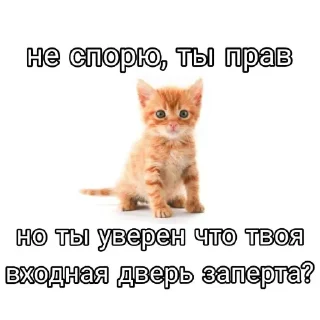 Стикер Больше стиков тут: @stikery4 - 1