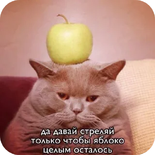 Стикер Больше стиков тут: @stikery4 - 3