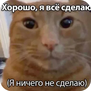 Стикер Больше стиков тут: @stikery4 - 4