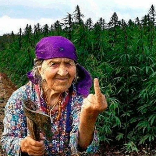 Sticker SPRAVOCHNIKRASTA - 1