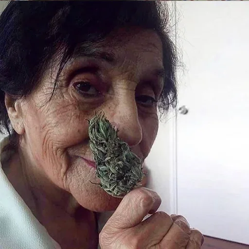 Sticker SPRAVOCHNIKRASTA - 1