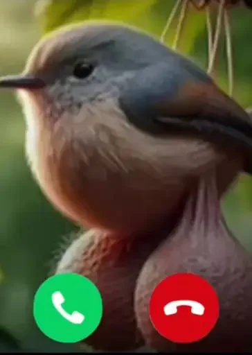 Стикер ST_DwqNQea42rHCni0iqRgQ0eGu_P3plE5D0bryNG1A_by_StickersPackRobot - 1