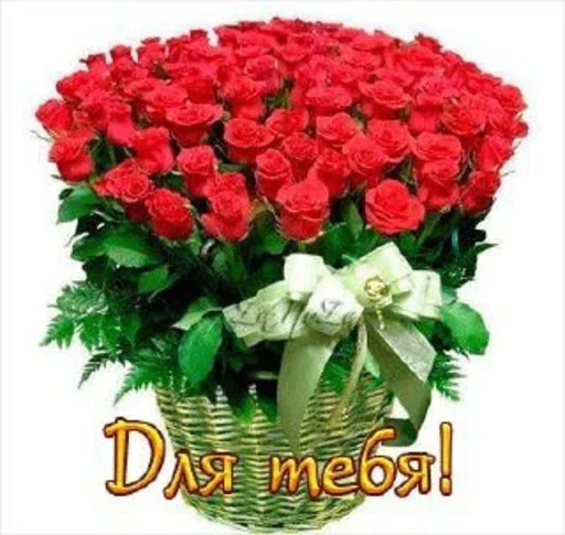 Стикер ST_EbBzeDNpotW4joKSgHSG_wbvWBdySxYZo7c6_by_StickersPackRobot - 1