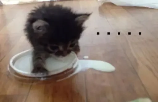 Стикер ST_EbBzeDNpotW4joKSgHSG_wbvWBdySxYZo7c6_by_StickersPackRobot - 1