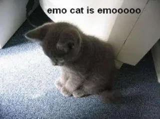 Sticker yadibil7331 @StickersPackRobot - 10