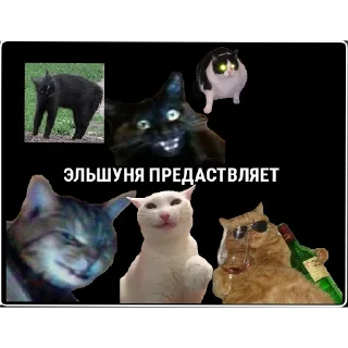 Sticker Хуйнищя @Stikerhi_bot - 4