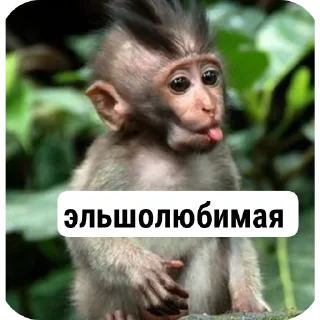 Sticker Хуйнищя @Stikerhi_bot - 5