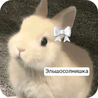 Sticker Хуйнищя @Stikerhi_bot - 1