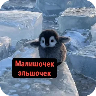 Sticker Хуйнищя @Stikerhi_bot - 9