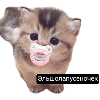 Sticker Хуйнищя @Stikerhi_bot - 8