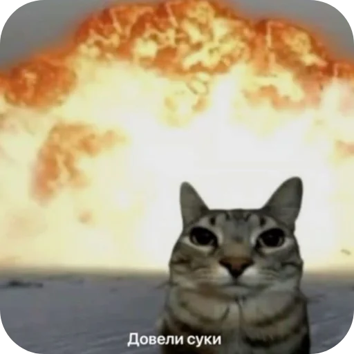 Sticker Saprfder_by_TgEmodziBot - 1