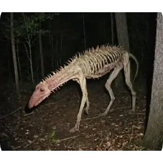 Стикер @saturn444leakschat @ffleaks_saturn444 - 0