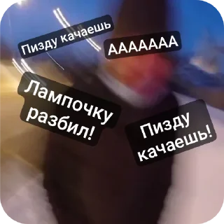 Стикер Сборка даунов Меладзе - 6