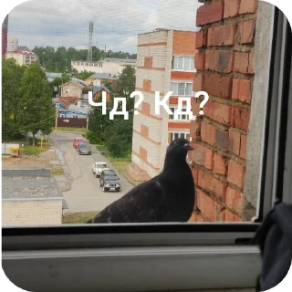 Стикер Сборка даунов Меладзе - 7