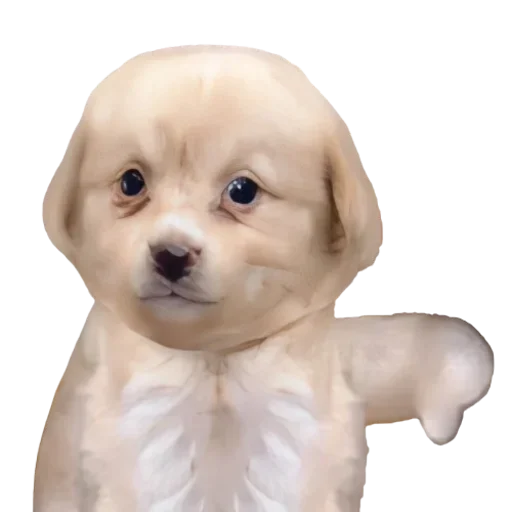 Стикер SdjjtkJBSj_by_shriftiru_bot - 1