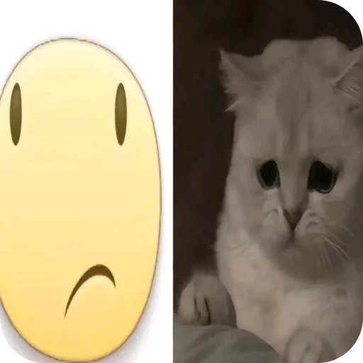 Стикер SdjjtkJBSj_by_shriftiru_bot - 1