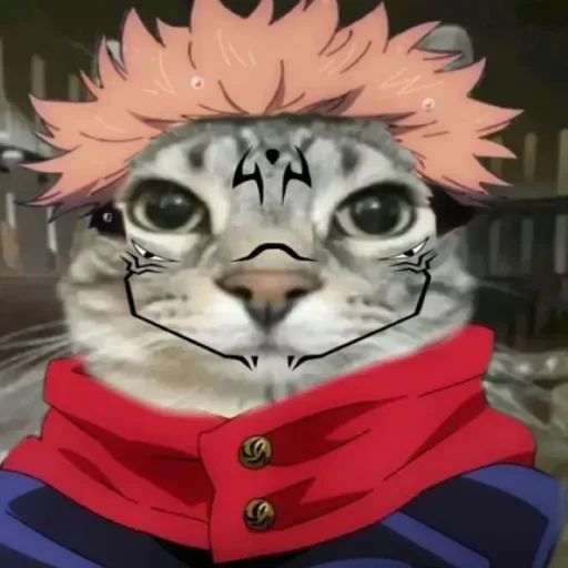 Семья сукун - 