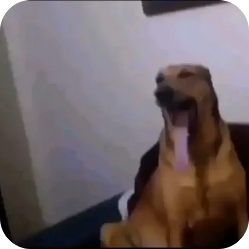 Sticker Shaverma759 - 1