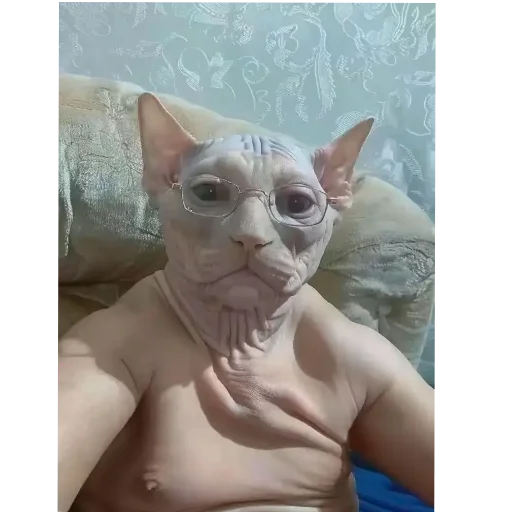 Стикер Shaverma759 - 1