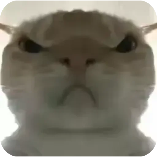 Sticker Shaverma759 - 1