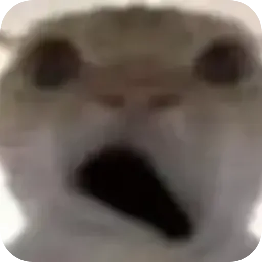 Создатель @sedruo - 