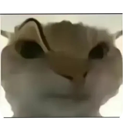 Стикер Shaverma759 - 1