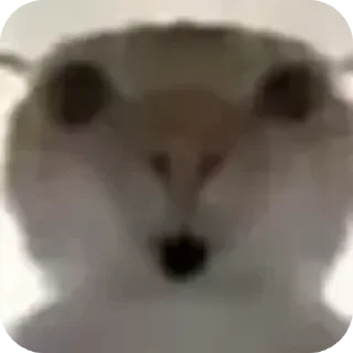 Стикер Создатель @sedruo - 10