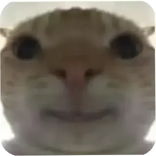 Стикер Создатель @sedruo - 8