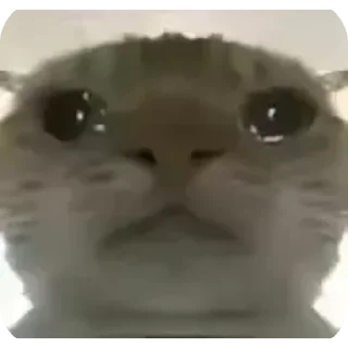 Стикер Создатель @sedruo - 11