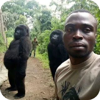 Sticker Shila krash и точка кто не согласен тот гей - 5