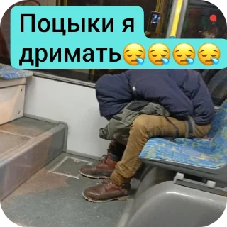 Sticker Shila krash и точка кто не согласен тот гей - 9