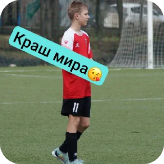 Sticker Shila krash и точка кто не согласен тот гей - 4