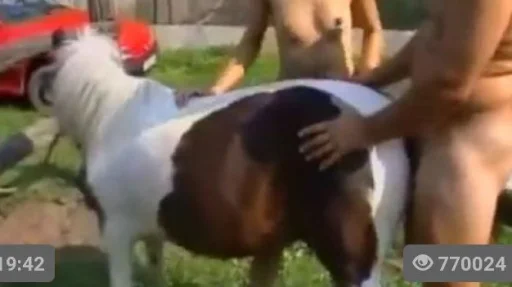 Стикеры1337 - 