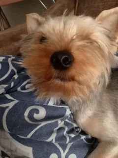 Sticker Стикеры1337 - 10