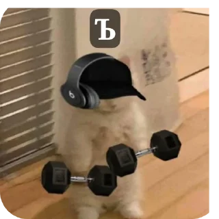 Стикер Сигмачка - 6