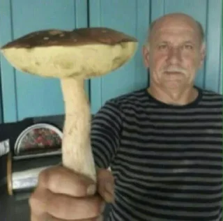 Sticker Скала Брендон - 8