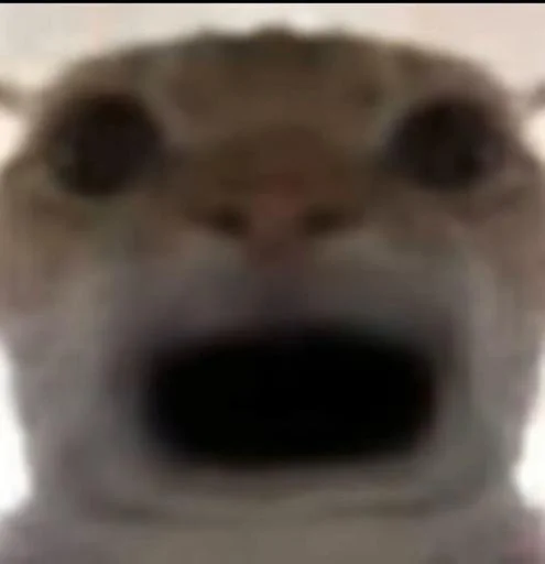 Котки @Sticker_tg_robot - 