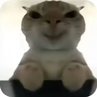 Sticker Котки @Sticker_tg_robot - 6