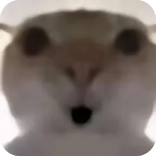 Sticker Котки @Sticker_tg_robot - 3