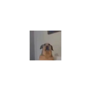 Sticker Котки @Sticker_tg_robot - 7