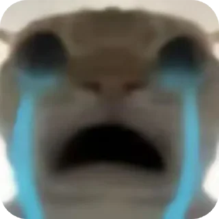 Sticker Котки @Sticker_tg_robot - 10