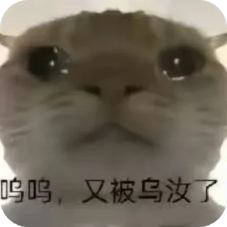 Sticker Котки @Sticker_tg_robot - 1