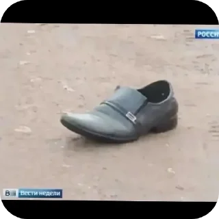 Sticker Котки @Sticker_tg_robot - 5