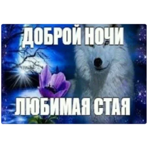 Sticker SlajdStikery - 1