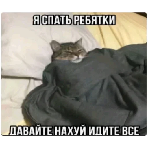 Sticker SlajdStikery - 1